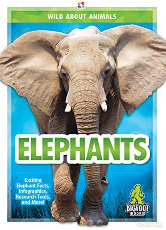 Elephants (Wild about Animals) - Emma Huddleston [KSIĄŻKA]