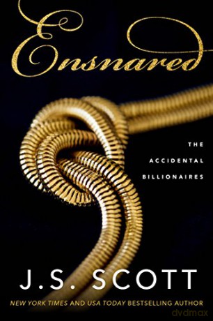 Ensnared: 1 (The Accidental Billionaires) - J. S. Scott [KSIĄŻKA]