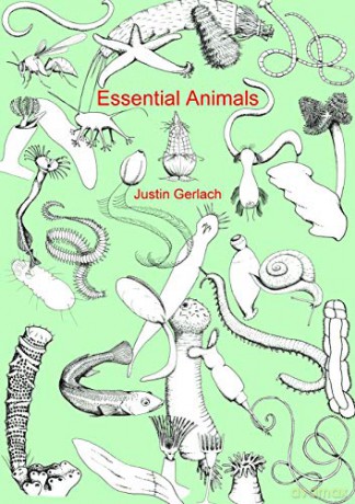Essential Animals - Justin Gerlach [KSIĄŻKA]