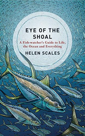 Eye of the Shoal [KSIĄŻKA]