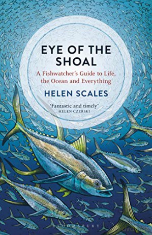 Eye of the Shoal: A Fishwatcher's Guide to Life, the Ocean and Everything - Helen Scales [KSIĄŻKA]
