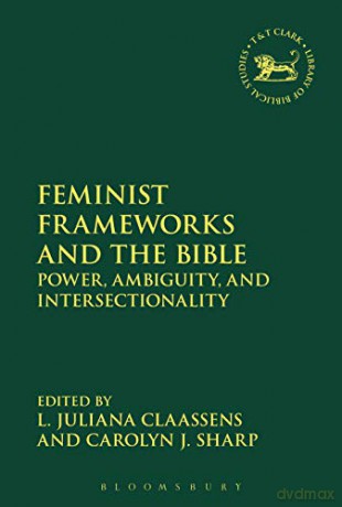 Feminist Frameworks and the Bible: Power, Ambiguity, and Intersectionality (Criminal Practice Series) - L. Juliana Claassens [KSIĄŻKA]