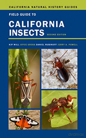 Field Guide to California Insects: Second Edition: 111 (California Natural History Guides) - Kip Will [KSIĄŻKA]