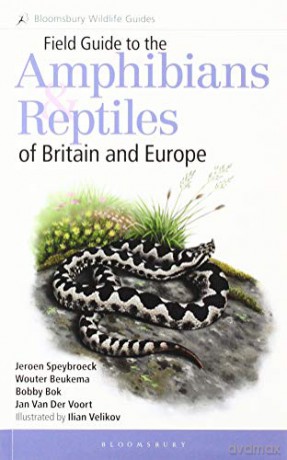Field Guide to the Amphibians and Reptiles of Britain and Europe - Jeroen Speybroeck [KSIĄŻKA]