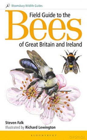 Field Guide to the Bees of Great Britain and Ireland (Field Guides) - Steven Falk [KSIĄŻKA]