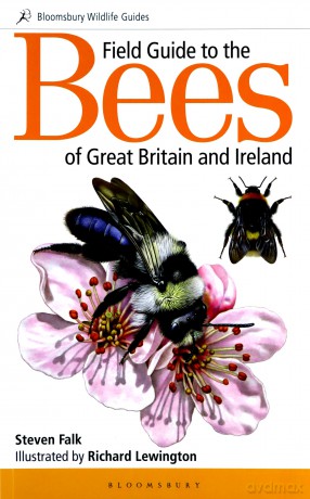 Field Guide to the Bees of Great Britain and Ireland (Field Guides) - Steven Falk [KSIĄŻKA]