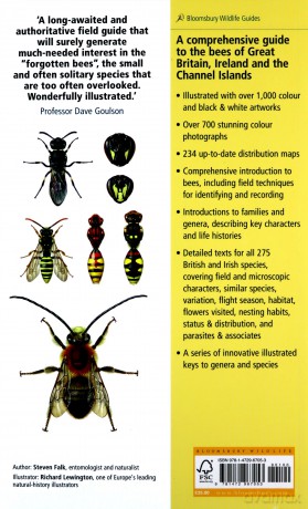 Field Guide to the Bees of Great Britain and Ireland (Field Guides) - Steven Falk [KSIĄŻKA]