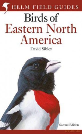Field Guide to the Birds of Eastern North America (Helm Field Guides) - David Sibley [KSIĄŻKA]