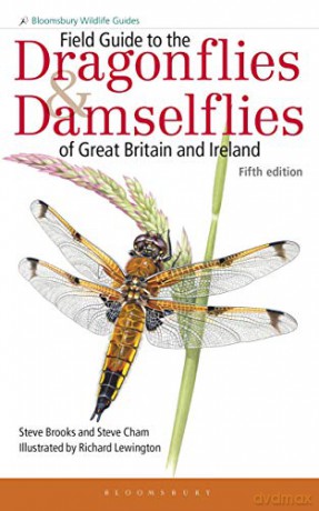Field Guide to the Dragonflies and Damselflies of Great Britain and Ireland (Field Guides) - Steve Brooks [KSIĄŻKA]