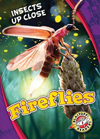 Fireflies (Insects Up Close) - Christina Leaf [KSIĄŻKA]