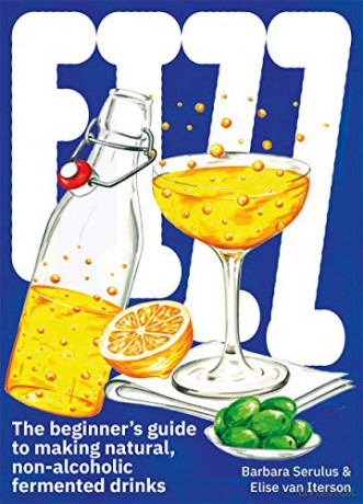 FIZZ: The Beginner's Guide to Making Natural, Non-Alcoholic Fermented Drinks - Barbara Serulus [KSIĄŻKA]