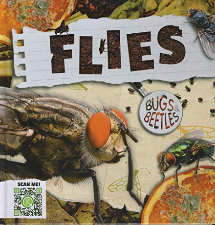 Flies (Bugs and Beetles) - John Wood [KSIĄŻKA]