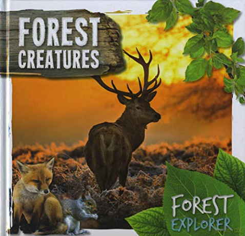 Forest Creatures (Forest Explorer) - Robin Twiddy [KSIĄŻKA]