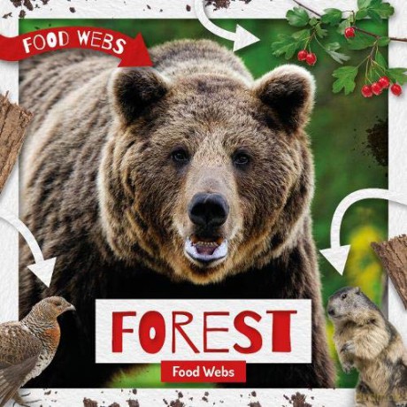 Forest Food Webs - Harriet Brundle [KSIĄŻKA]