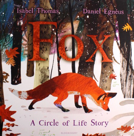 Fox: A Circle of Life Story for Christmas - Isabel Thomas [KSIĄŻKA]