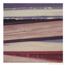 Neil Davidson: Grain [CD]