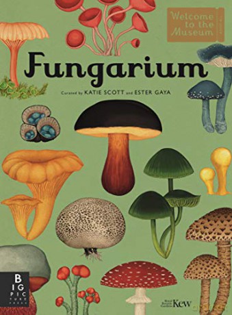 Fungarium (Welcome To The Museum) - Royal Botanic Gardens Kew [KSIĄŻKA]