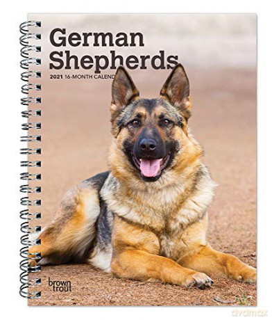 German Shepherds 2021 6 x 7.75 Inch Spiral-Bound Wire-O Weekly Engagement Planner Calendar | New Full-Color Image Every Week | Animals Dog Breeds Pets [KSIĄŻKA]