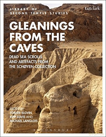 Gleanings from the Caves: Dead Sea Scrolls and Artefacts from the Schoyen Collection (Criminal Practice Series) - Torleif Elgvin [KSIĄŻKA]