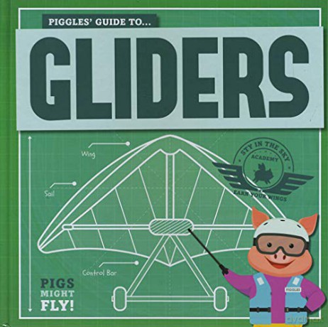 Gliders (Pigs Might Fly!) - Kirsty Holmes [KSIĄŻKA]