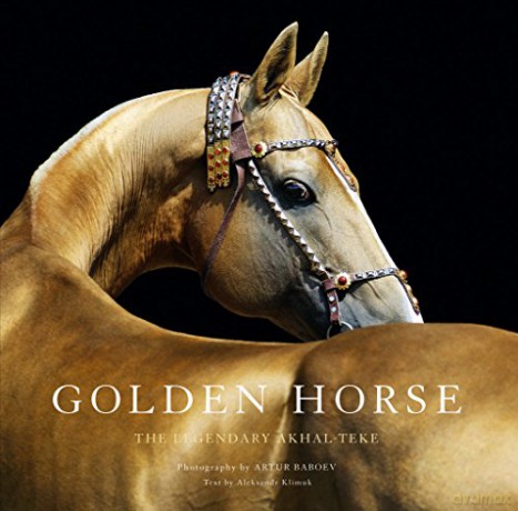 Golden Horse: The Legendary Akhal-Teke - Aleksandr Klimuk [KSIĄŻKA]
