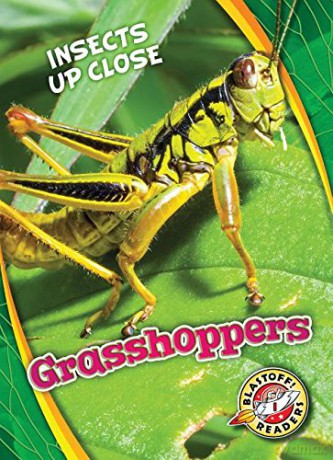 Grasshoppers (Insects Up Close) - Patrick Perish [KSIĄŻKA]