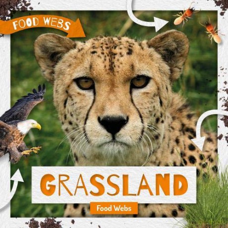 Grassland Food Webs - Harriet Brundle [KSIĄŻKA]