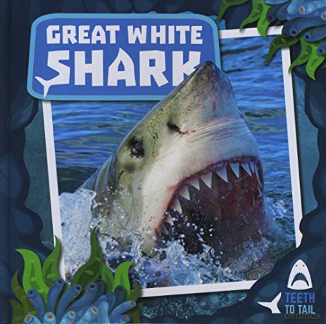 Great White Shark (Teeth to Tail) - Robin Twiddy [KSIĄŻKA]