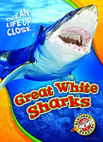 Great White Sharks (Ocean Life Up Close) - Rebecca Pettiford [KSIĄŻKA]