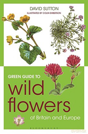 Green Guide to Wild Flowers Of Britain And Europe - David Sutton [KSIĄŻKA]