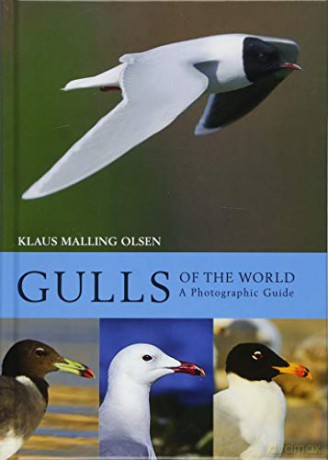Gulls of the World: A Photographic Guide - Klaus Malling Olsen [KSIĄŻKA]