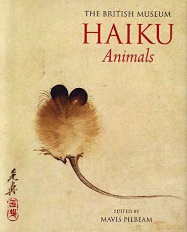 Haiku Animals (Gift Books) - Mavis Pilbeam [KSIĄŻKA]