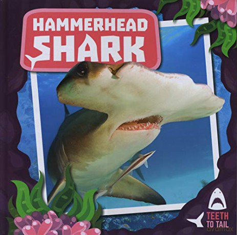 Hammerhead Shark: Teeth to Tail - Robin Twiddy [KSIĄŻKA]