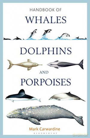 Handbook of Whales, Dolphins and Porpoises - Mark Carwardine [KSIĄŻKA]