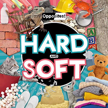 Hard and Soft (Opposites!) - Holly Duhig [KSIĄŻKA]