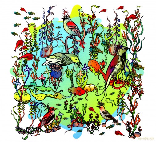 John Zorn: O'o [CD]