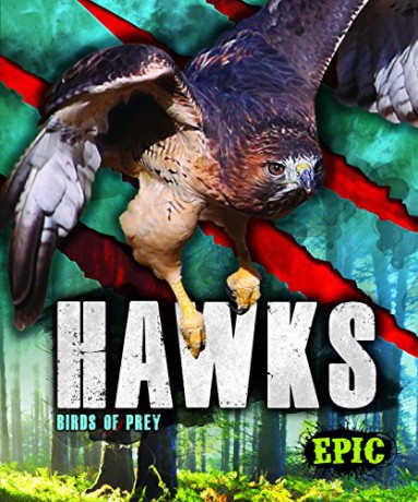 Hawks: Birds of Prey - Nathan Sommer [KSIĄŻKA]