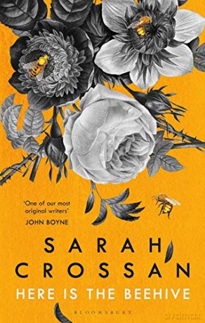 Here is the Beehive: Shortlisted for Popular Fiction Book of the Year in the AN Post Irish Book Awards - Sarah Crossan [KSIĄŻKA]