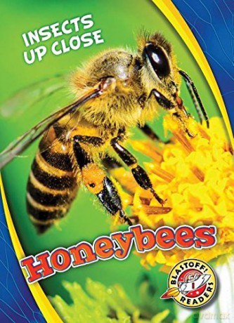 Honeybees (Insects Up Close) - Christina Leaf [KSIĄŻKA]
