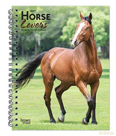 Horse Lovers 2021 Engagement Diary [KSIĄŻKA]