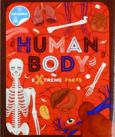 Human Body (Extreme Facts) - Steffi Cavell-Clarke [KSIĄŻKA]