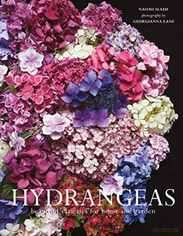Hydrangeas: Beautiful varieties for home and garden - Naomi Slade [KSIĄŻKA]