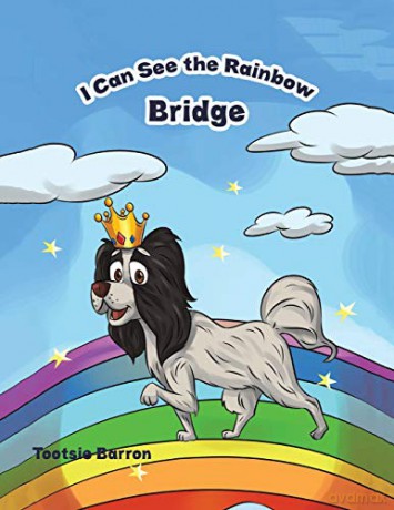 I Can See the Rainbow Bridge - Tootsie Barron [KSIĄŻKA]