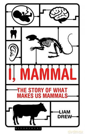 I, Mammal: The Story of What Makes Us Mammals - Liam Drew [KSIĄŻKA]