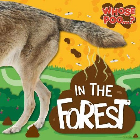 In the Forest (Whose Poo) - Emilie Dufresne [KSIĄŻKA]