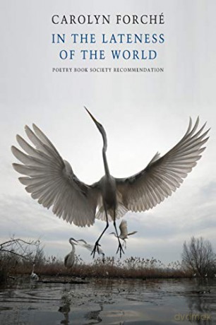 In the Lateness of the World: (international Edition) - Carolyn Forché [KSIĄŻKA]
