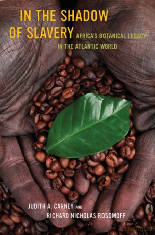In the Shadow of Slavery: Africa's Botanical Legacy in the Atlantic World - Judith Carney [KSIĄŻKA]