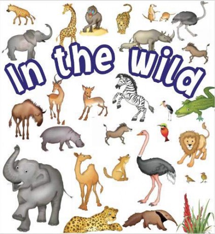 In the Wild (Lots of Animals) - Rebecca Elliott [KSIĄŻKA]