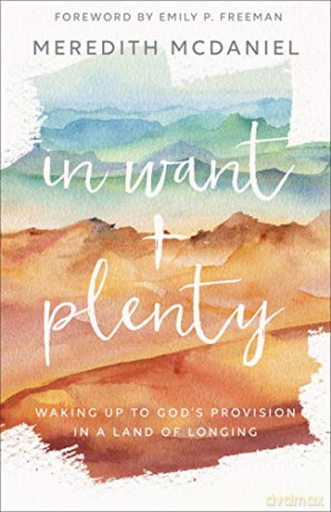In Want + Plenty: Waking Up to God's Provision in a Land of Longing - Meredith McDaniel [KSIĄŻKA]