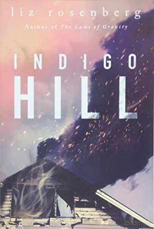 Indigo Hill: A Novel - Liz Rosenberg [KSIĄŻKA]